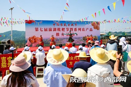 枇杷果怎么种植技术_种植果枇杷技术要求_种植果枇杷技术要点