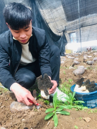 农民致富种植项目_10亩地农业种植致富项目_致富种植农业项目地址在哪里