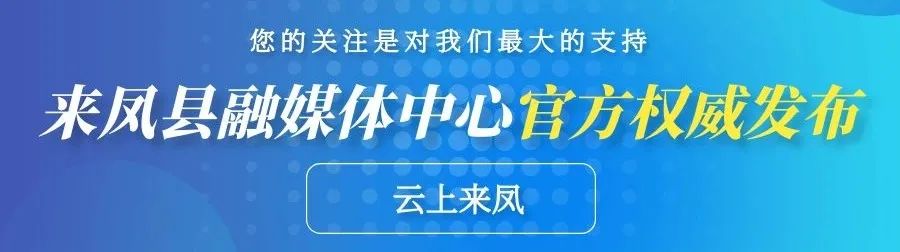 湖北日报头版关注！来凤中蜂养殖超4万群！