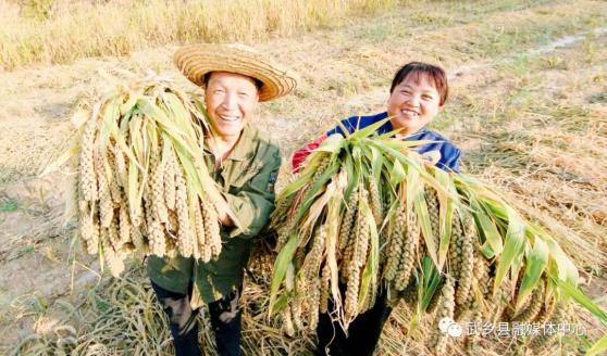 致富经养殖羊视频_致富经养羊_羊粪种植致富之路