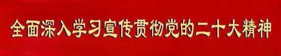 乡村振兴丨“菇”足干劲促振兴 丰收撑起“致富伞”