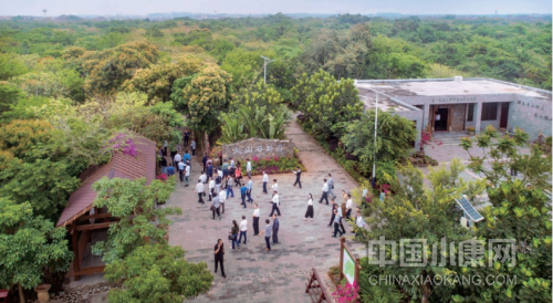 乡村振兴样板村!海口施茶村：石斛产业点亮致富路