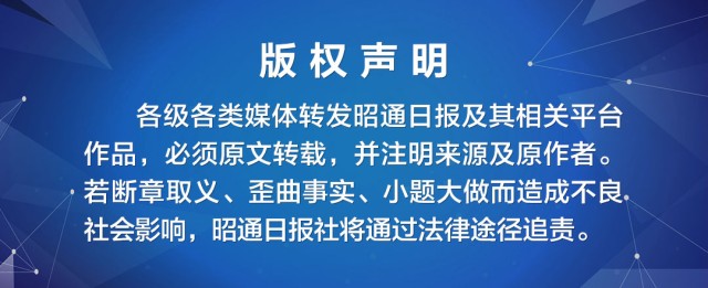 民权鹌鹑养殖致富_农村养殖鹌鹑赚钱吗_致富经养鹌鹑