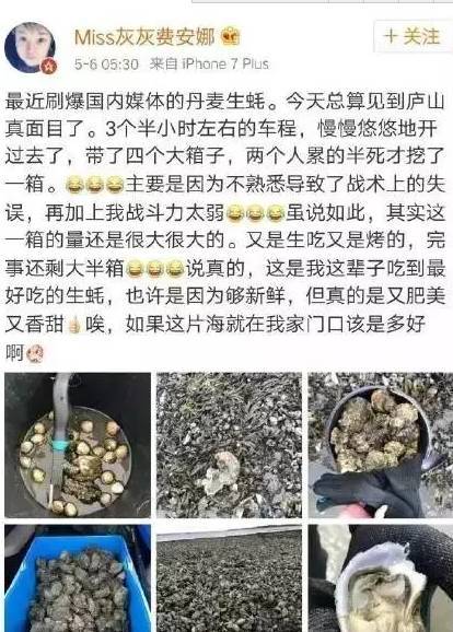 有人要发财啦！重庆乡下随处可见的虫子，居然能卖到3000块一斤！