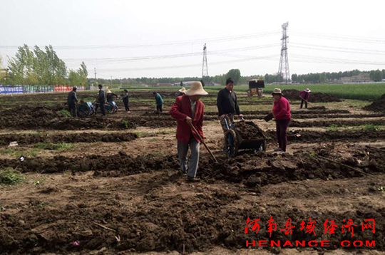 河南致富经_河南农村致富新项目_致富经河南