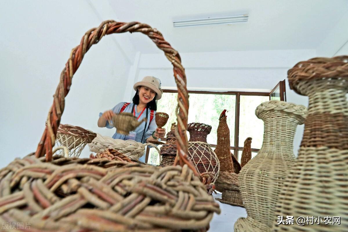 金针菇种植赚钱吗_种金针菇是真的吗_致富经女人种金针菇