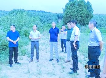 夏南牛养殖技术_夏南牛养殖视频_夏南牛牛犊价格