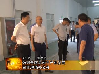 夏南牛养殖技术_夏南牛养殖视频_夏南牛牛犊价格