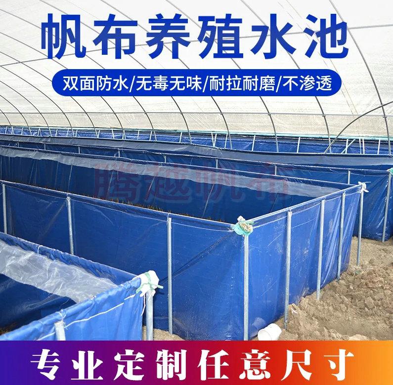 养殖水蛭技术视频_水蛭养殖技术1_养殖水蛭技术大全