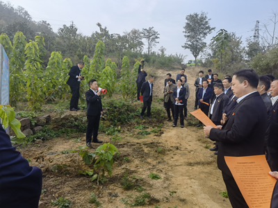 致富生态平台_种植致富新项目_生态种植致富路