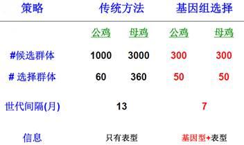 正确解读新版海兰褐饲养管理手册