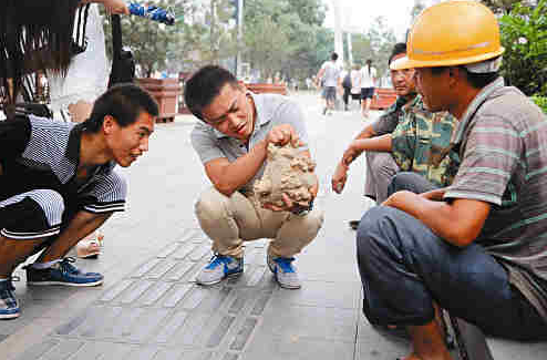 央视网致富经视频_央视致富经果子狸视频_炸小果子的做法视频