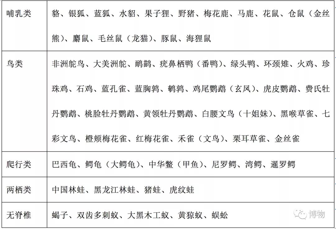 大红果子剥皮皮视频_央视致富经果子狸视频_央视网致富经视频