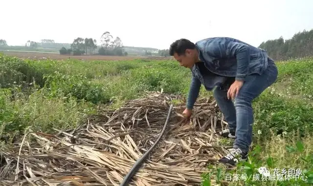 致富经广地龙养殖_广地龙养殖基地_养殖广地龙技术