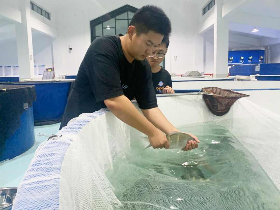 红水河珍稀鱼类保育中心联合珠水科技公司突破长鳍光唇鱼人工繁育技术