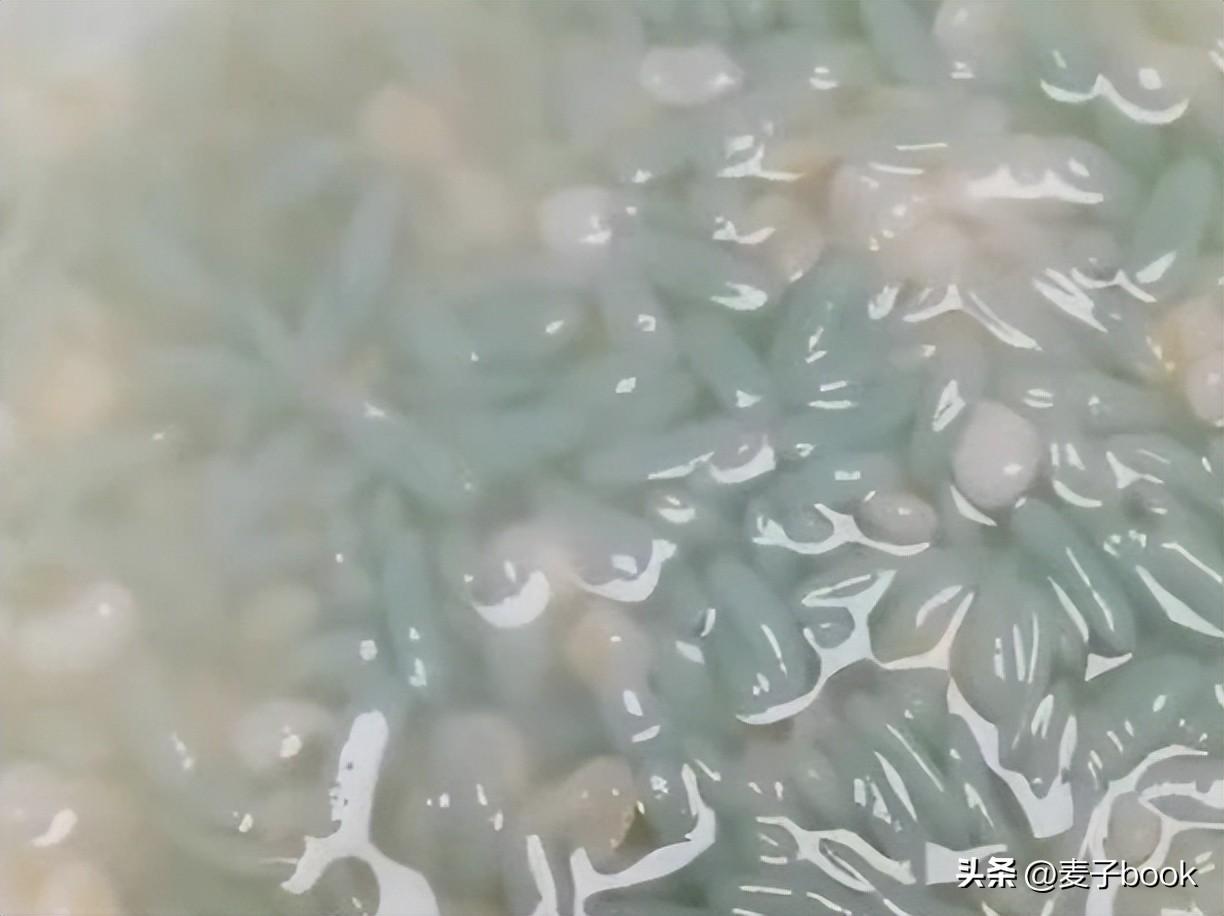 绿竹种植视频_绿竹的种植技术_种植绿竹技术要点