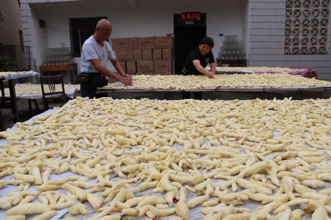 村里种植生姜致富_致富生姜种植村里能种吗_致富生姜种植村里可以种吗