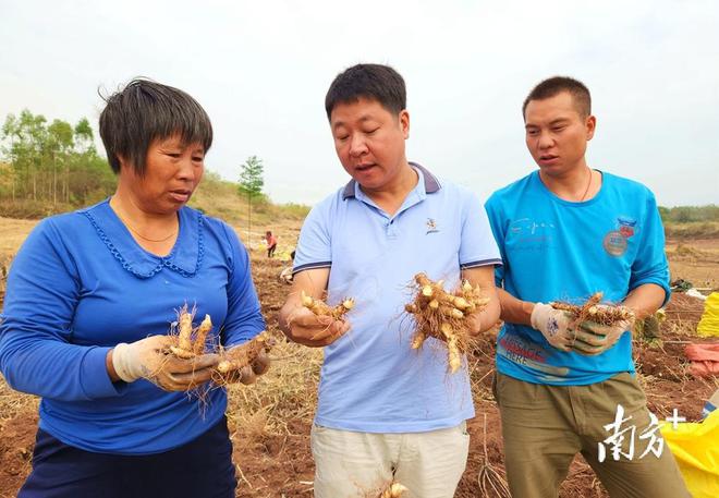 撂荒地长出“金玉竹”｜黄志伟返乡创业带农致富