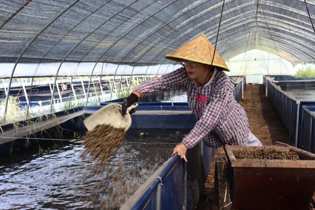 养殖致富网视频_2017年致富经养殖视频_养殖致富经2019年全集