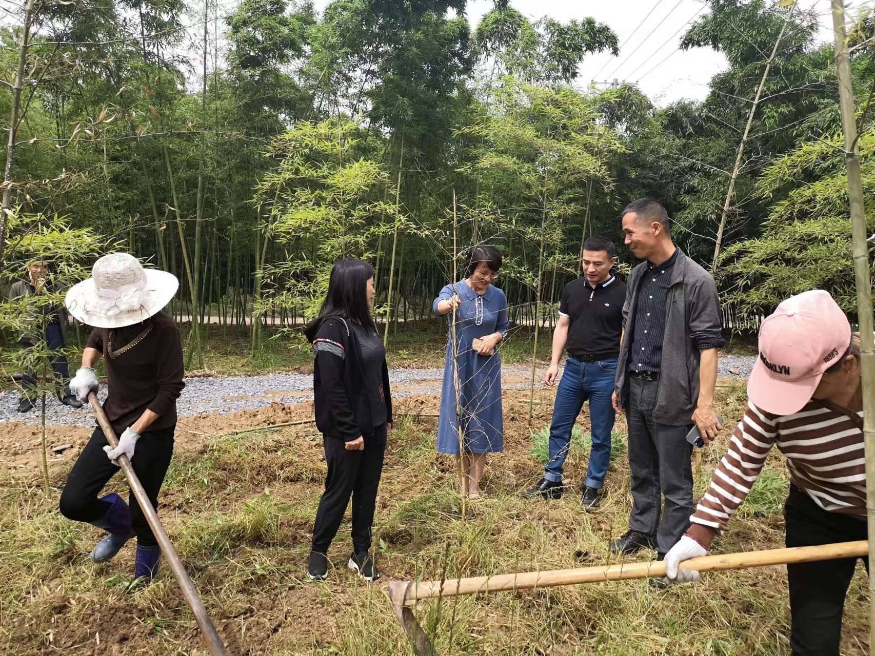 致富经农业种植_农业种植致富信息_农业致富信息网