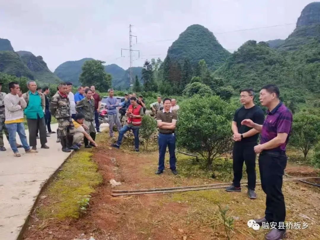 金柑种植致富_金柑盆景多少钱一盆_致富种植金柑怎么样