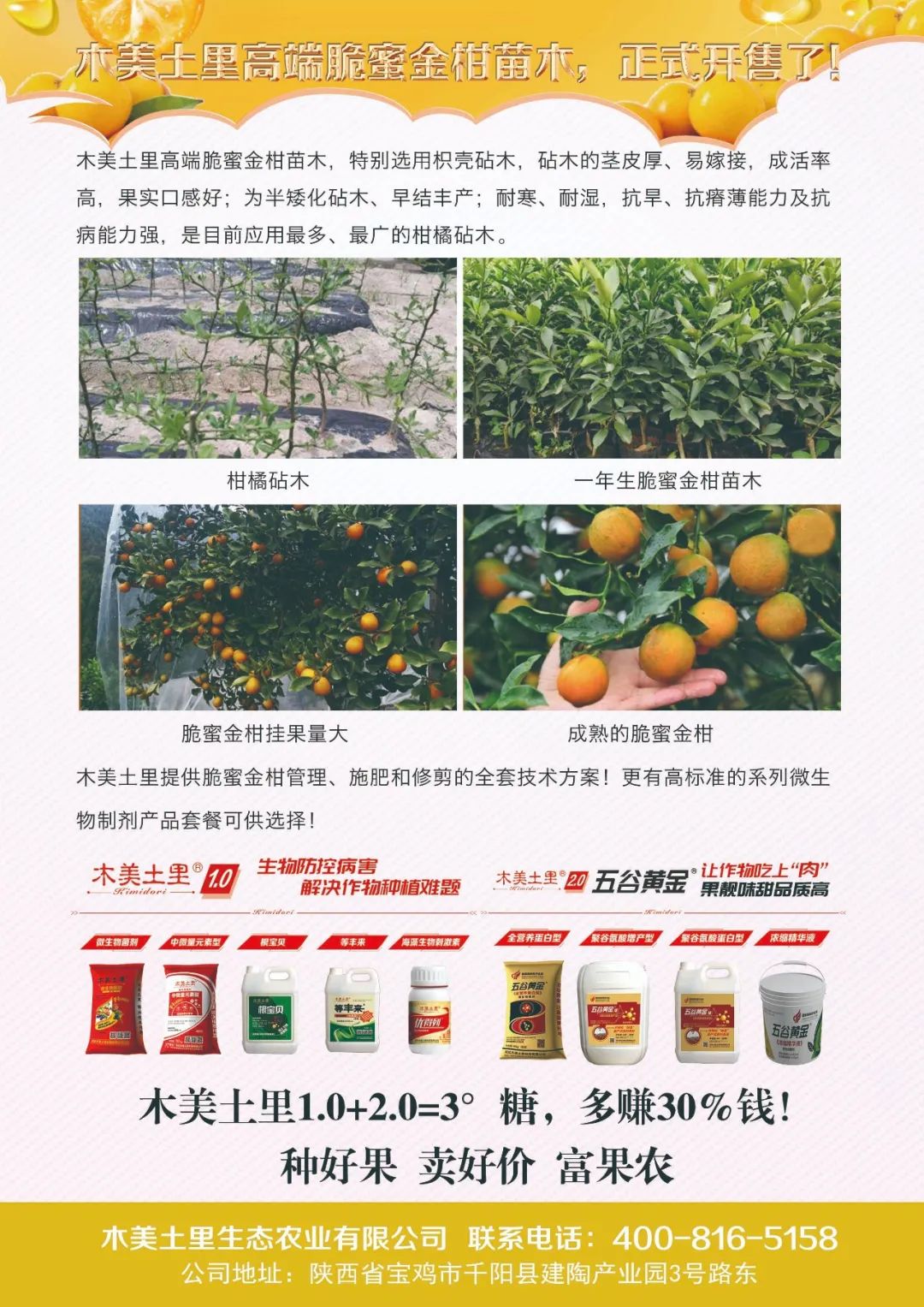 金柑种植致富_金柑怎么养殖_致富种植金柑好吗