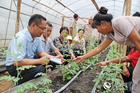 农业种植致富信息_致富经农业种植_致富种植农业信息网官网