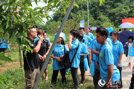 农业种植致富信息_致富种植农业信息网官网_致富经农业种植