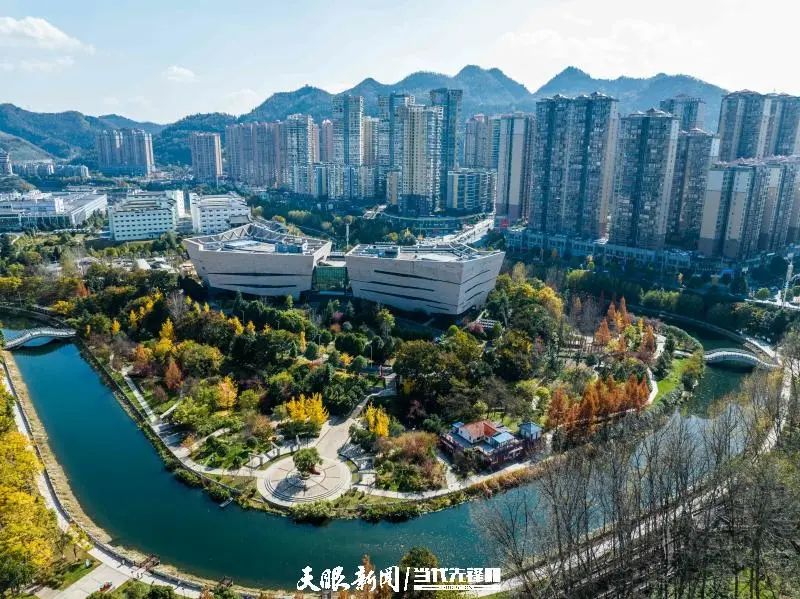 乌天麻亩产量_乌天麻种植致富_乌天麻种子多少钱一斤