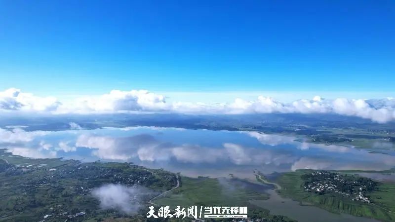 乌天麻种植致富_乌天麻种子多少钱一斤_乌天麻亩产量