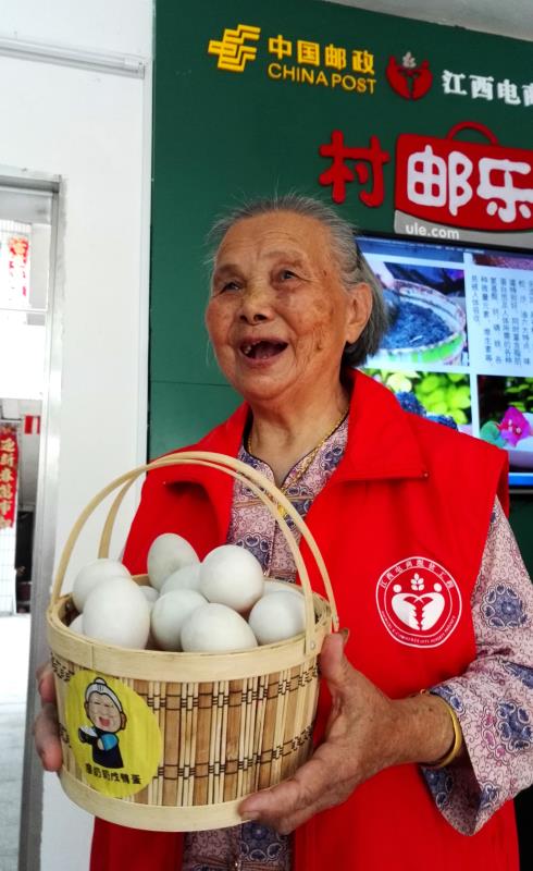 种植杨梅的条件_农广天地杨梅种植技术_农广天地杨梅种植视频