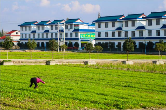 农广天地杨梅种植技术_农广天地杨梅种植视频_农广天地杨梅种植技术和管理