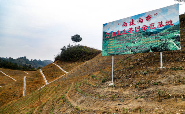 农广天地杨梅种植技术和管理_农广天地杨梅种植视频_农广天地杨梅种植技术