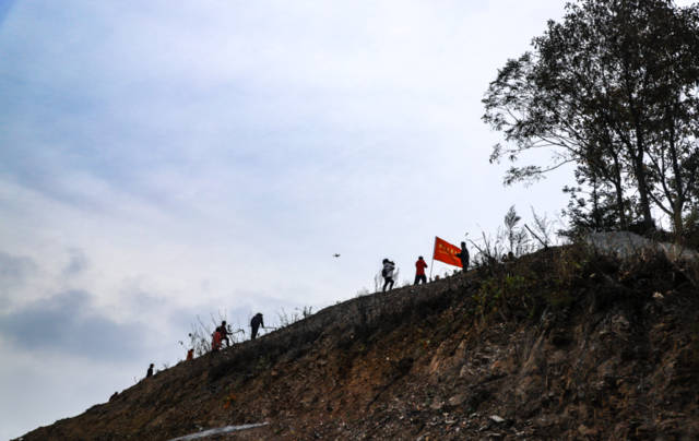 农广天地杨梅种植视频_农广天地杨梅种植技术_农广天地杨梅种植技术和管理