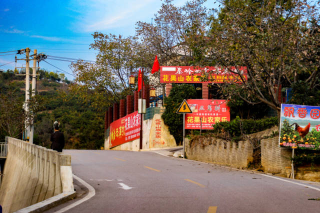 农广天地杨梅种植视频_农广天地杨梅种植技术和管理_农广天地杨梅种植技术