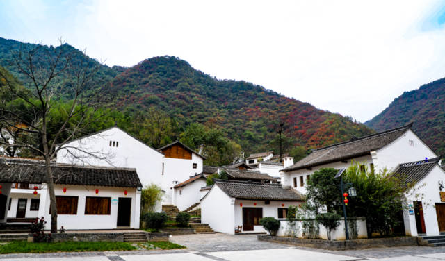 农广天地杨梅种植视频_农广天地杨梅种植技术_农广天地杨梅种植技术和管理