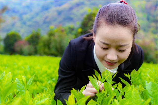 农广天地杨梅种植视频_农广天地杨梅种植技术_农广天地杨梅种植技术和管理