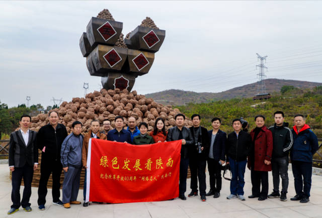 农广天地杨梅种植技术_农广天地杨梅种植技术和管理_农广天地杨梅种植视频