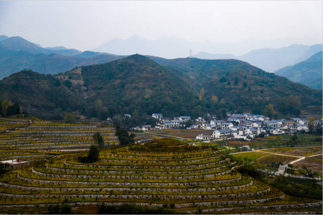 农广天地杨梅种植视频_农广天地杨梅种植技术和管理_农广天地杨梅种植技术