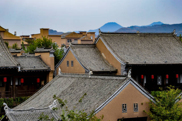 农广天地杨梅种植技术_农广天地杨梅种植视频_农广天地杨梅种植技术和管理