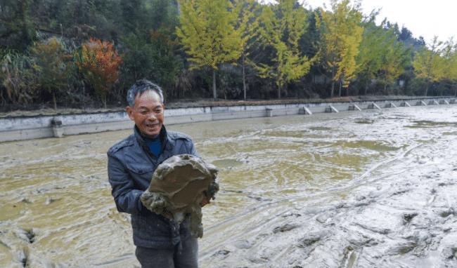 投2万，赚10万？投入小利润大！3大冷门养殖项目，有人“赚翻”了