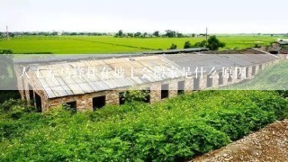 人工养马蜂挂在坡上会搬家是什么原因