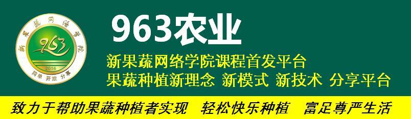 冬季棚室问题多，比“提温、排湿、补光”更重要的竟是它（上）