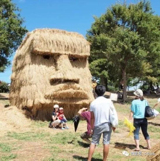 村庄规划经验做法_优秀村庄发展规划案例_借鉴优质村庄规划经验分享