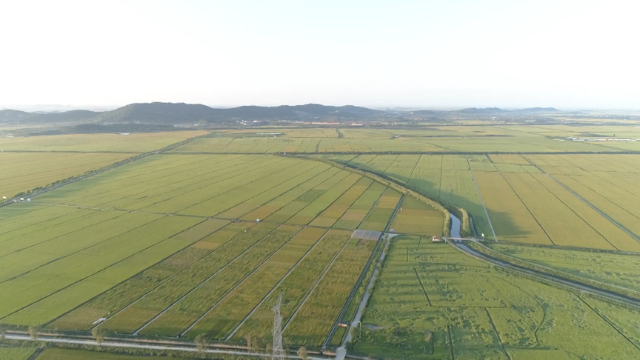 辽宁农村致富项目_辽宁种植致富项目_致富辽宁种植项目有哪些