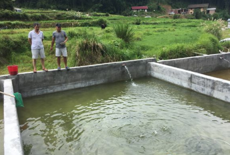 水中养殖的植物_水中养殖致富_致富经水产养殖最好养的是什么