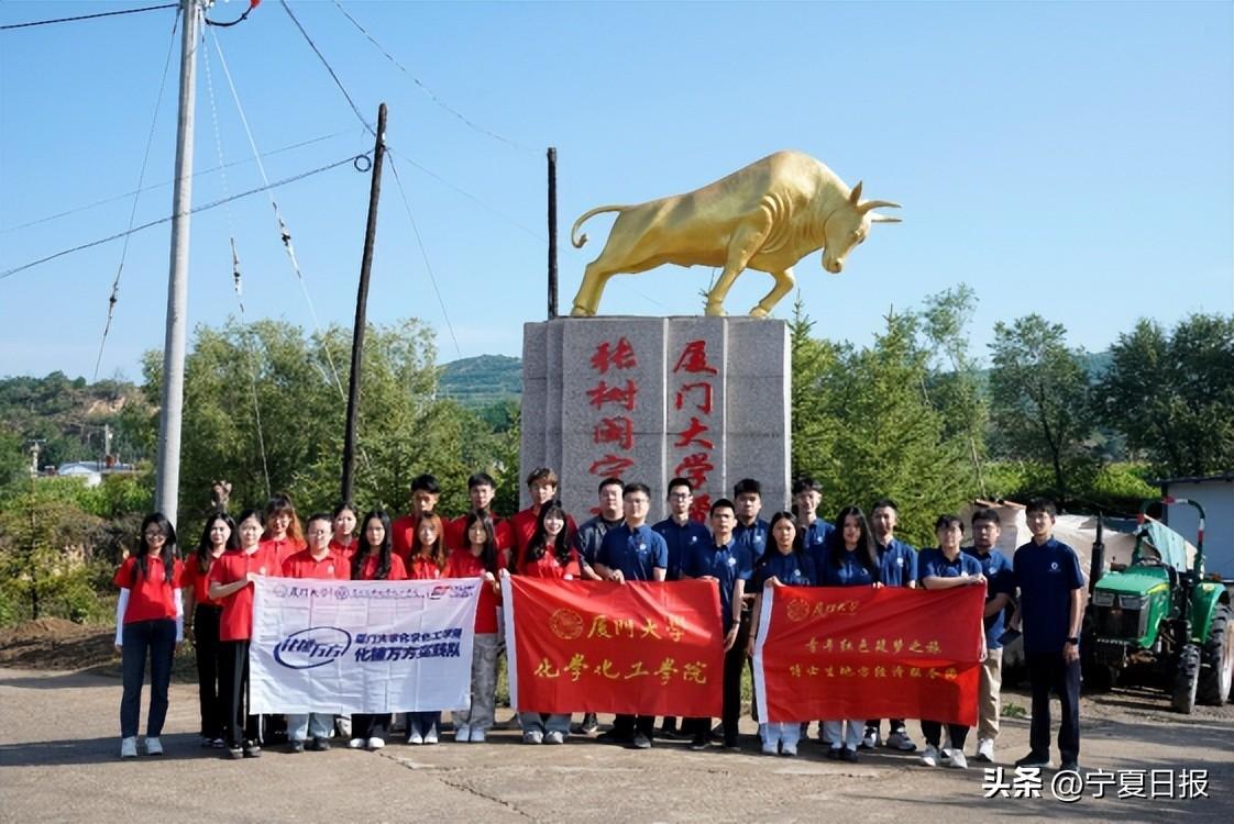 肉牛首“啃”！厦门大学在宁夏一个村研发微生物发酵饲料