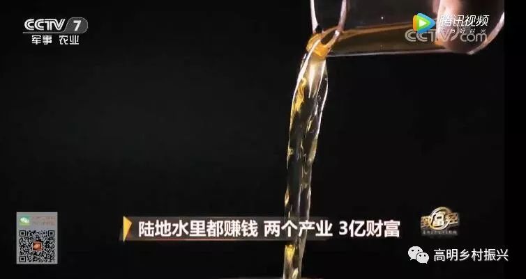 烧鹅赚钱吗_烧鹅的价钱_致富经之烧鹅