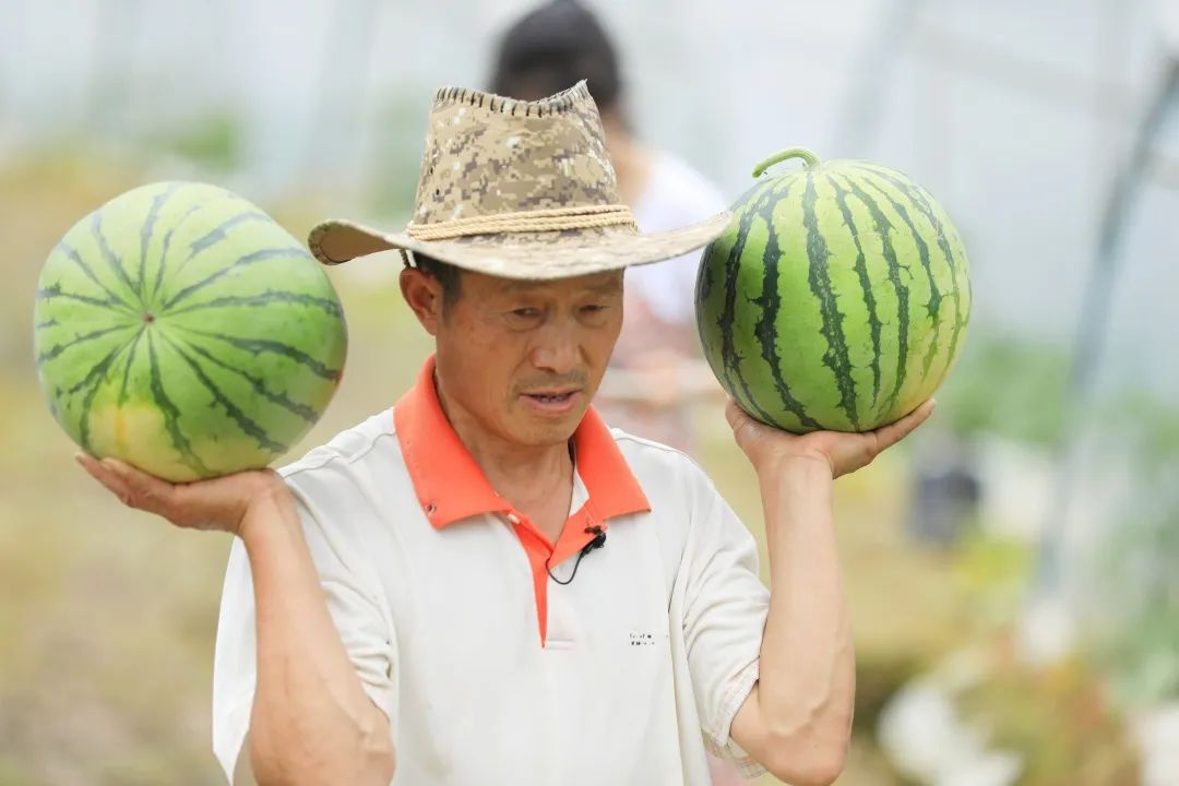 致富经平菇种植技术_致富种植技术平菇视频_平菇种植新技术