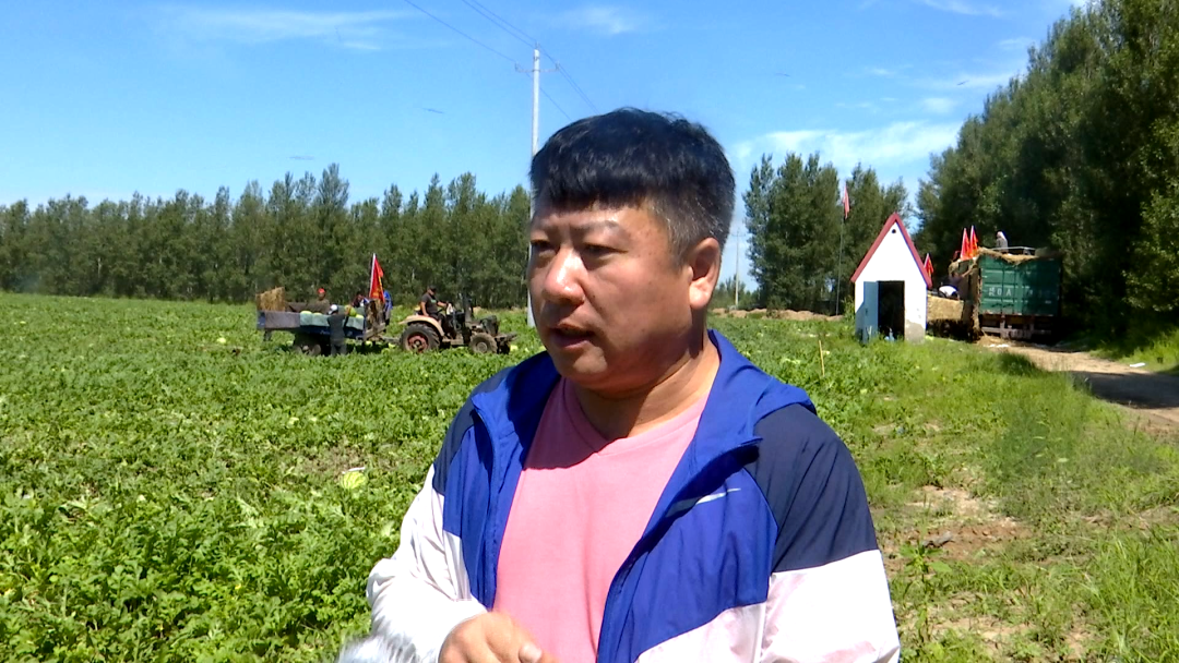 新致富项目种植_新民种植致富_致富种植视频全集